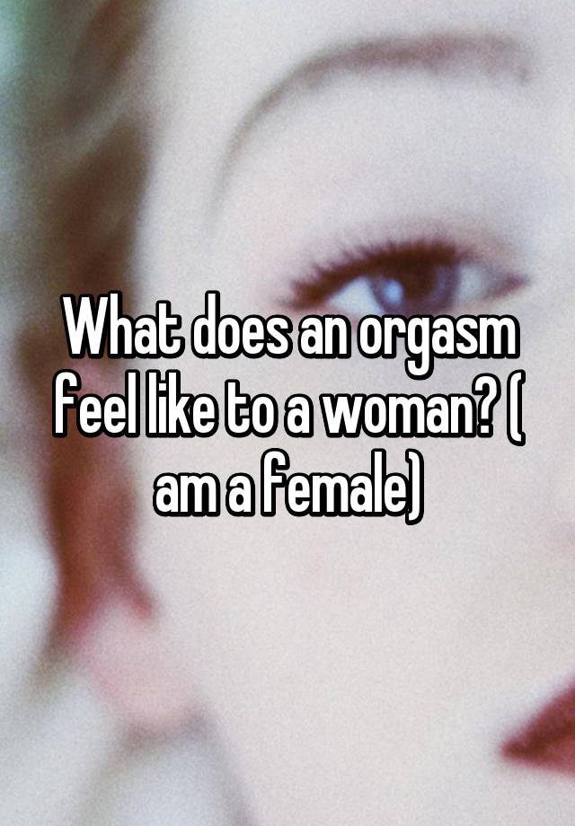 What Does An Orgasm Feel Like For A Woman